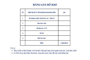 Hồ Cá Cảnh Dathaco K60 Lọc Vách: