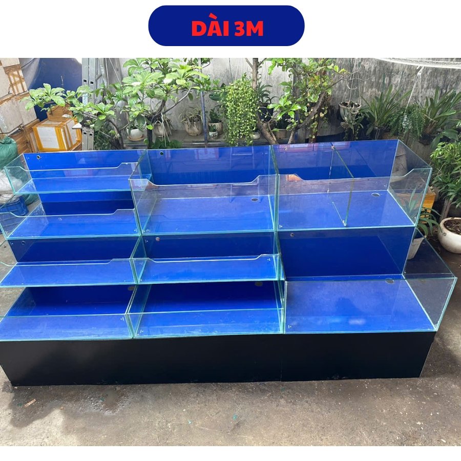 bể hải sản